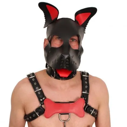 Puppy Leather Bone Red