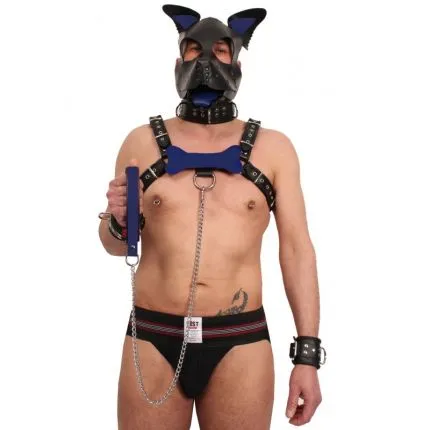 Puppy Leather Bone Blue