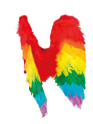 Rainbow Angle Fetherwings 50cm