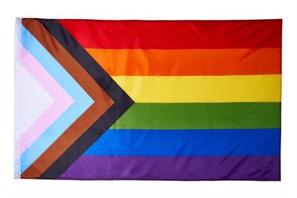 Progress Pride Flagge