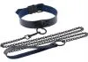Collar with Metal Leash - multiple colors