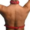 Chest Harness Red
