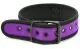 Simple Puppy Neoprene Collar