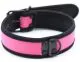Simple Puppy Neoprene Collar