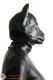 Latex Mask Puppy