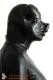 Schweinemaske Latex