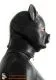Piglet Hood Latex