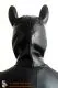 Latex Ponymaske