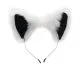 Ears and Tail Set White