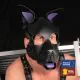 Leder Puppy Maske - farbig gestaltbar