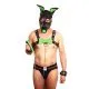 Puppy Leather Bone Green