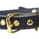 Golden Kitty Collar Black