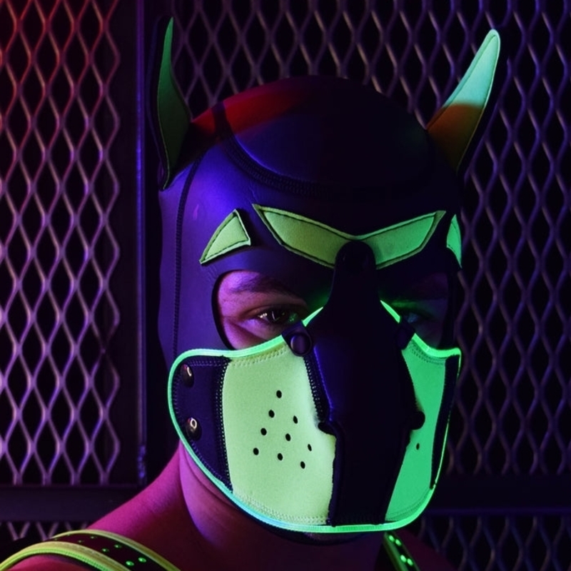 Leuchtende Puppy Maske mit LED
