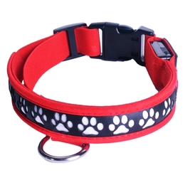 Collar with LED lights