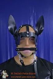 Pony Harness Kopfgeschirr Pony Harness Kopfgeschirr