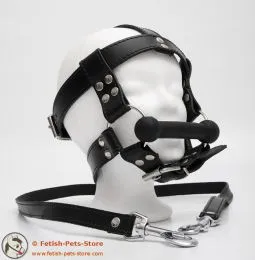 Horse Bit with Reins Horse Bit with Reins