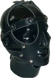 Leather Head Harness