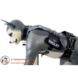 Dog Chest Harness with Velcro Plates