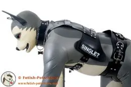 Dog Chest Harness with Velcro Plates Dog Chest Harness with Velcro Plates