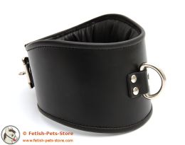 Padded Leather Locking Posture Collar