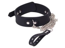 Biothane Collar with Leash