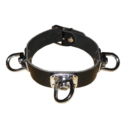 Collar with Rotating Bezel