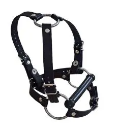 Head harness with separate briddle Head harness with separate briddle