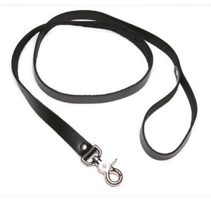 Leather Leash 4 foot