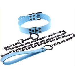 Collar with Metal Leash - multiple colors