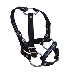 Head harness with separate briddle