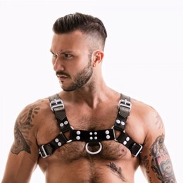 H-Front Harness coloured studs